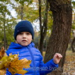 Мальчик в синей куртке с желтыми листьями в руках