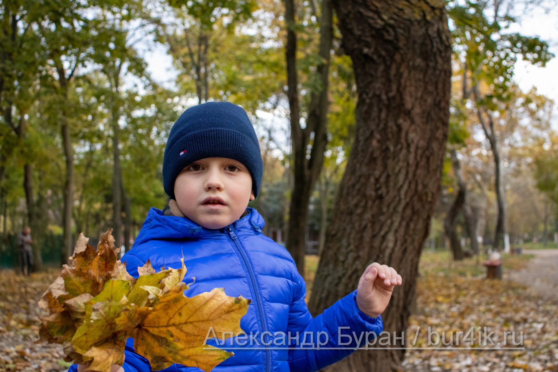 Мальчик в синей куртке с желтыми листьями в руках