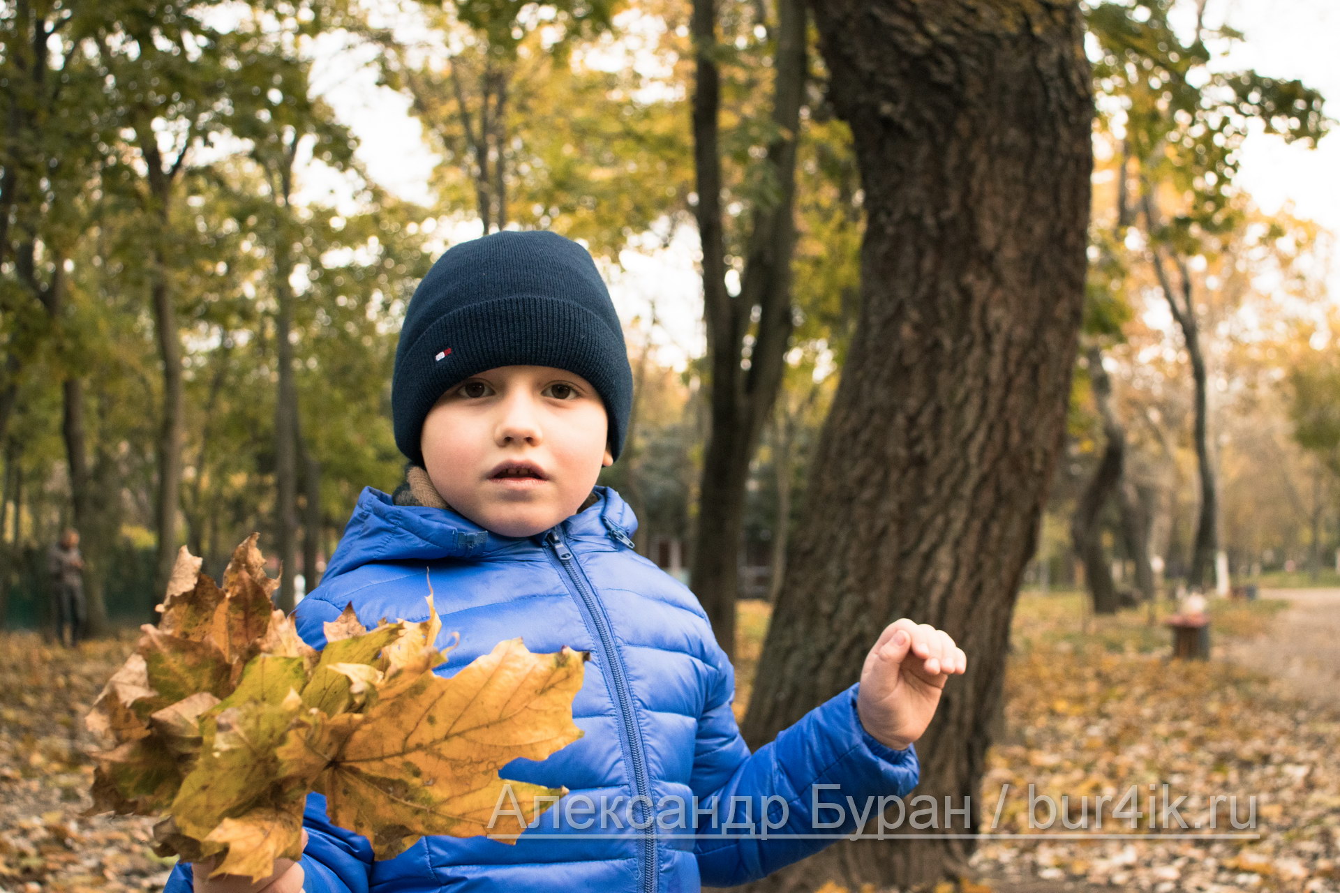 Мальчик с букетом желтых листьев в осеннем парке