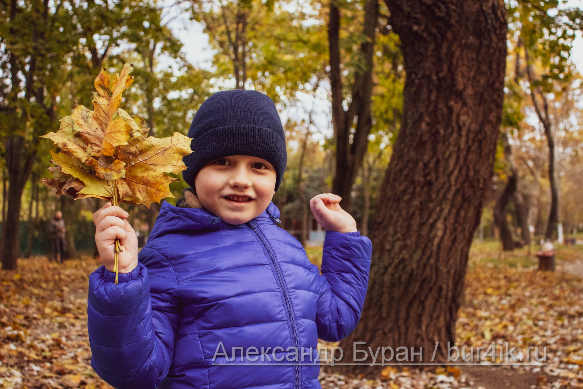 Мальчик шести осенью в парке с листьями в руках