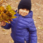 Маленький мальчик позирует с листьями в руках в осеннем парке