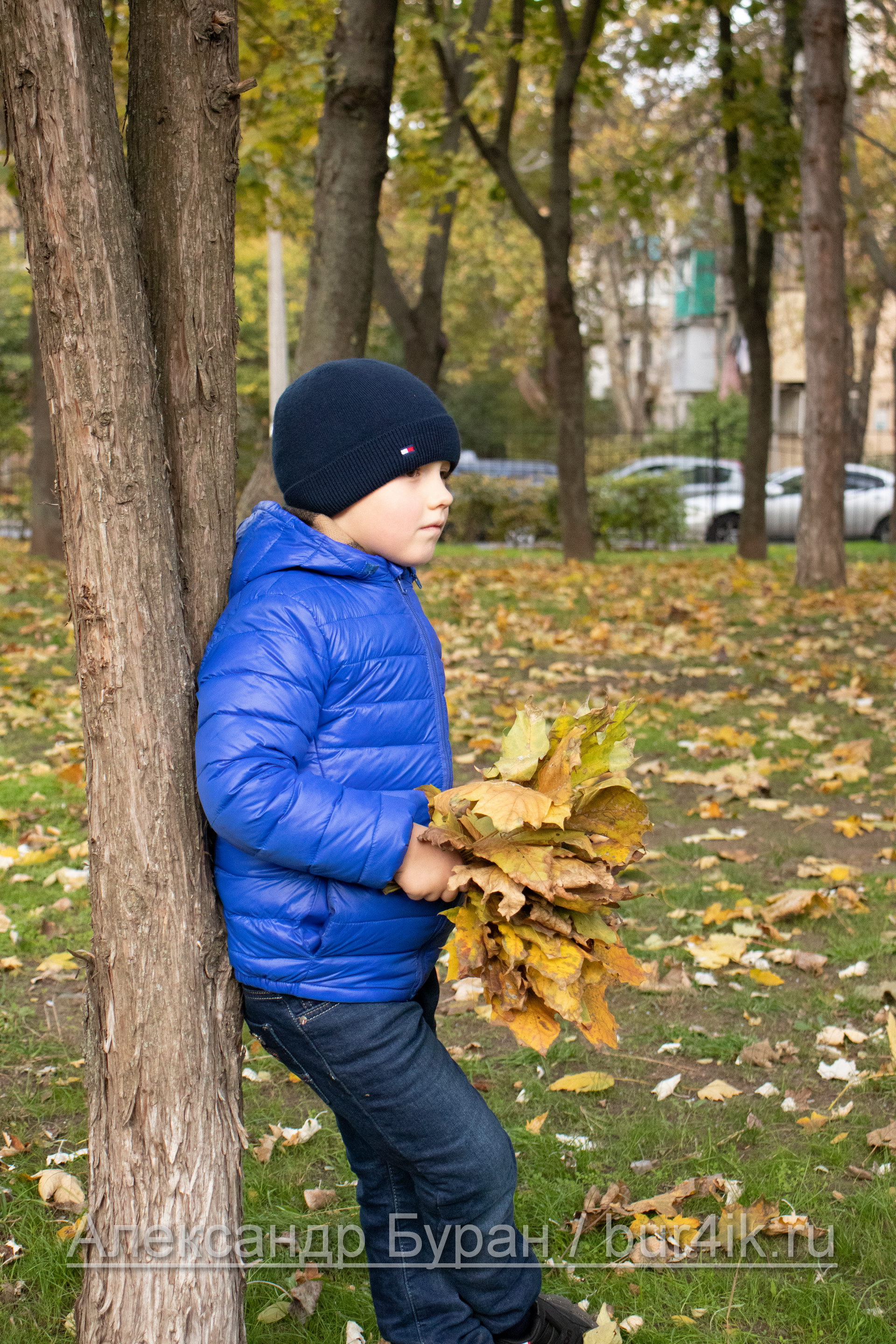 Мальчик с букетом желтых листьев стоит под деревом осенью в парке