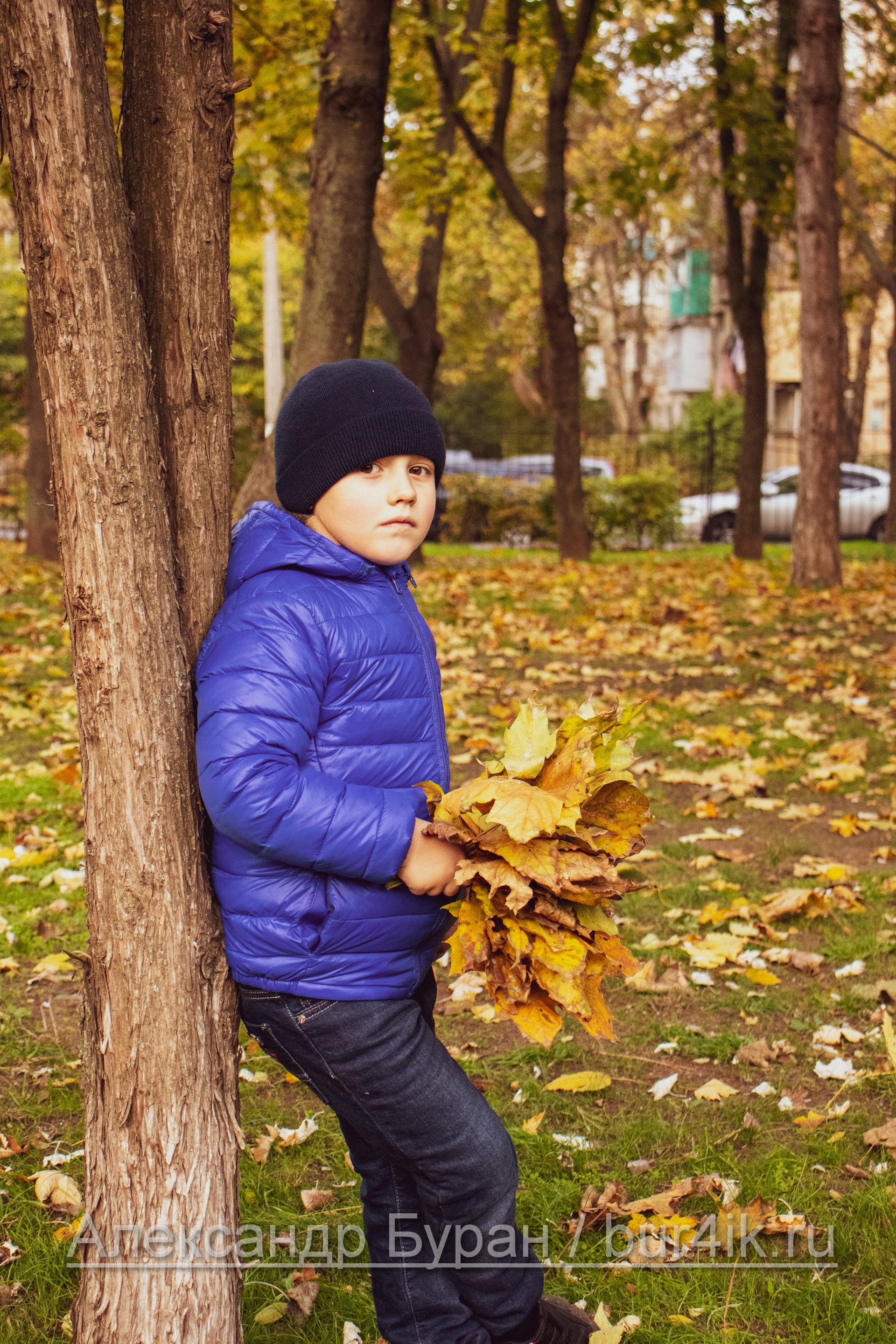 Шесть-летний мальчик откидывается на дерево в парке