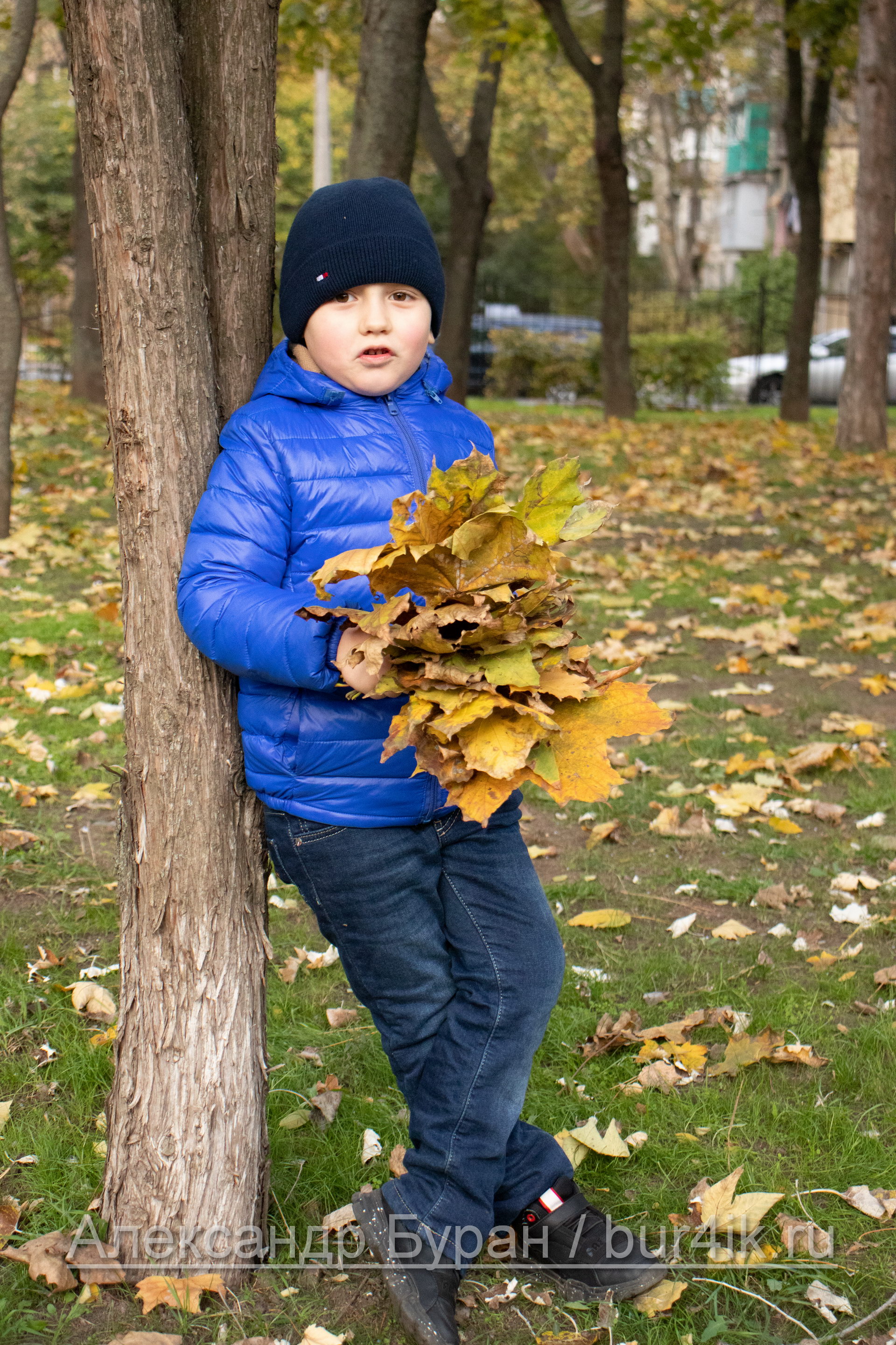 Мальчик в синей куртке с букетом желтых листьев стоит под деревом осенью в парке