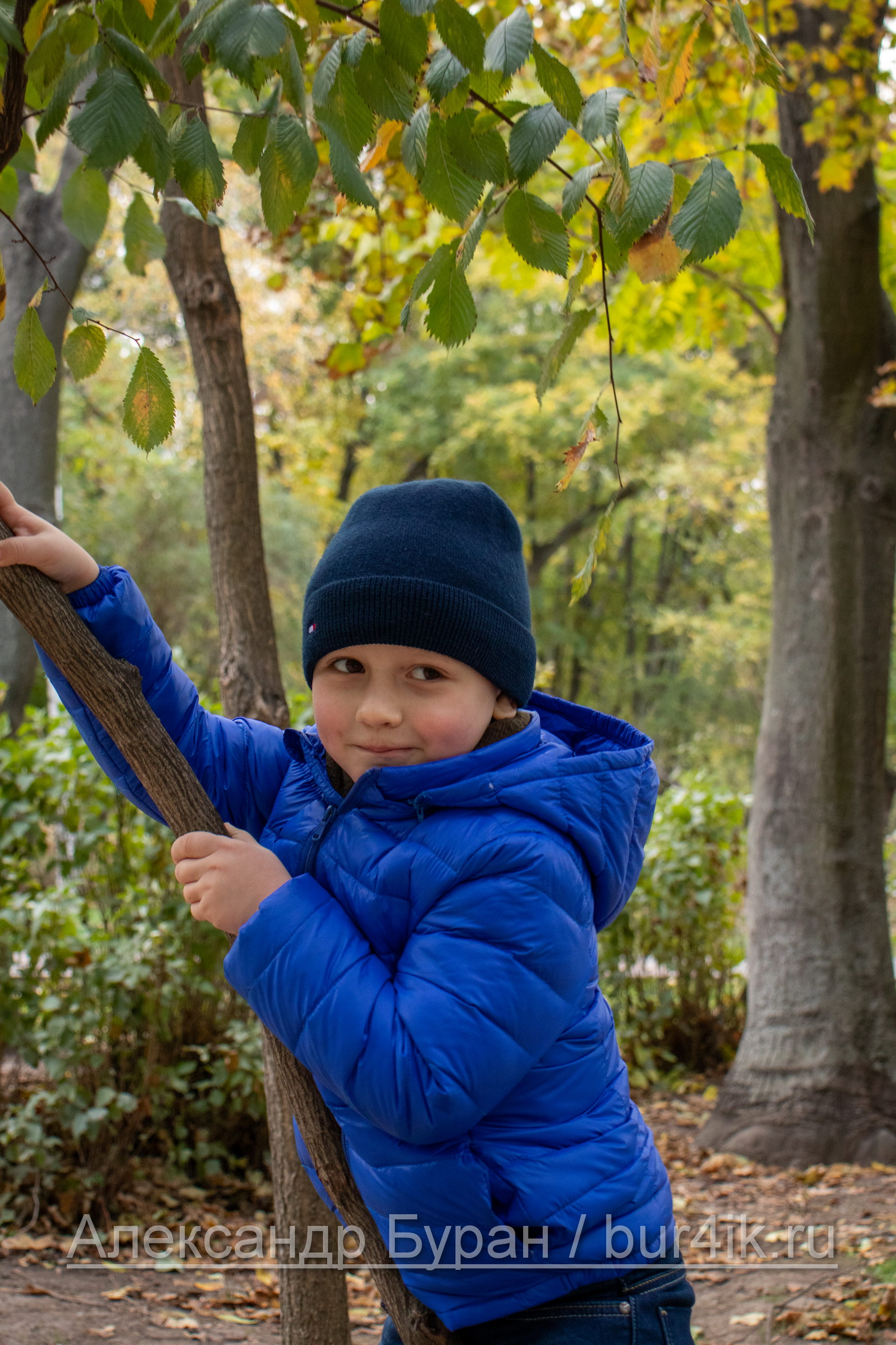 Мальчик пытается подняться на молодое дерево в осеннем парке
