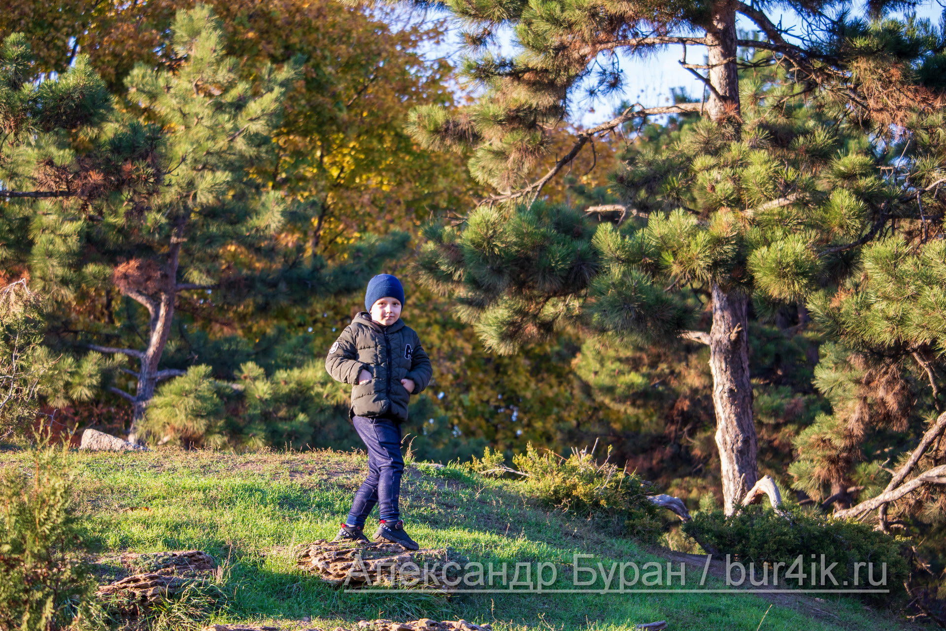 Мальчик на фоне елки в парке
