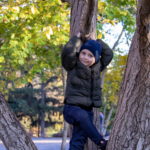 Шесть-летний мальчик на дереве в осеннем парке