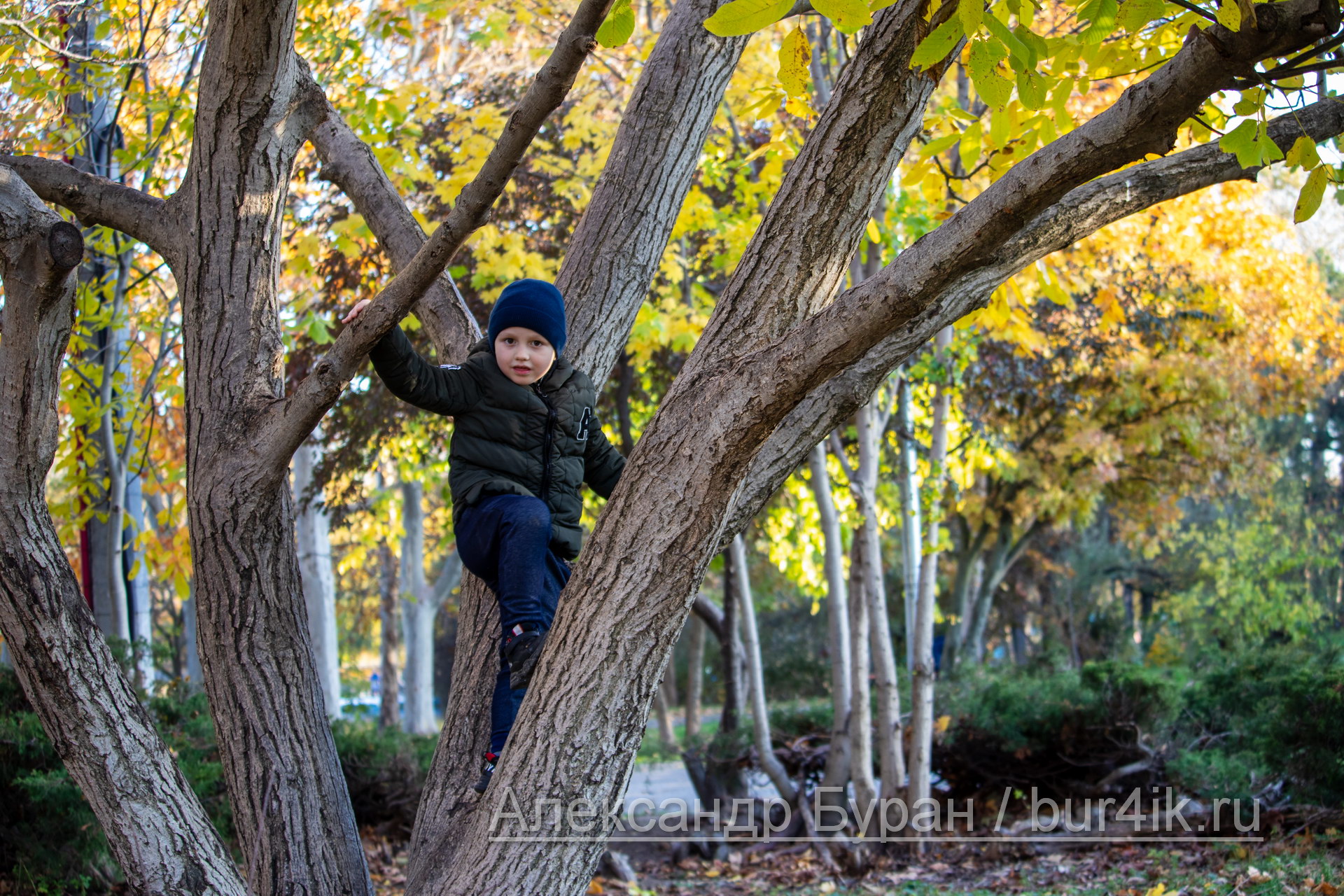Мальчик лезет дерева в осеннем парке