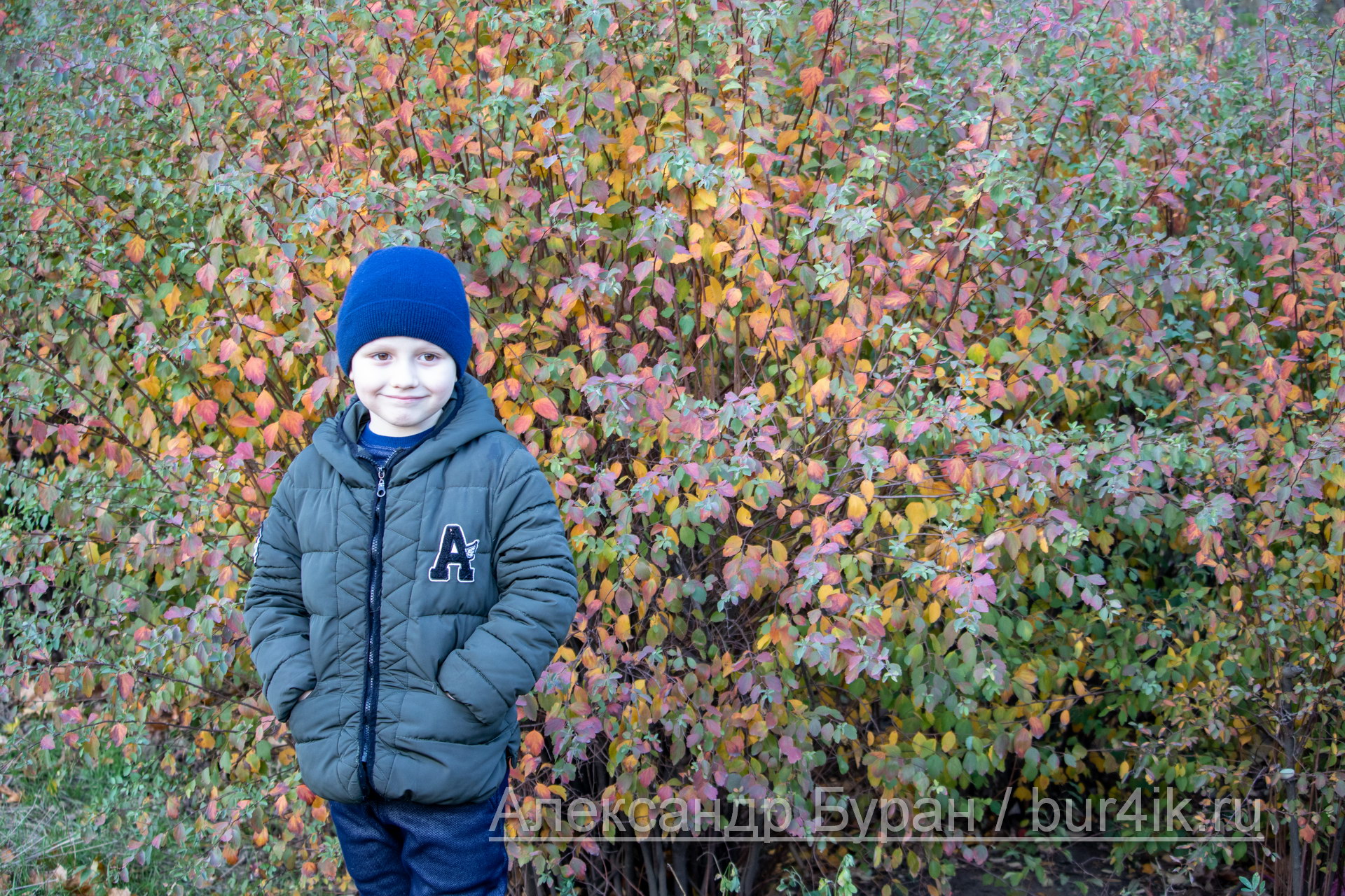 Мальчик улыбается, стоя возле кустов с яркими и необычными листьями осенью