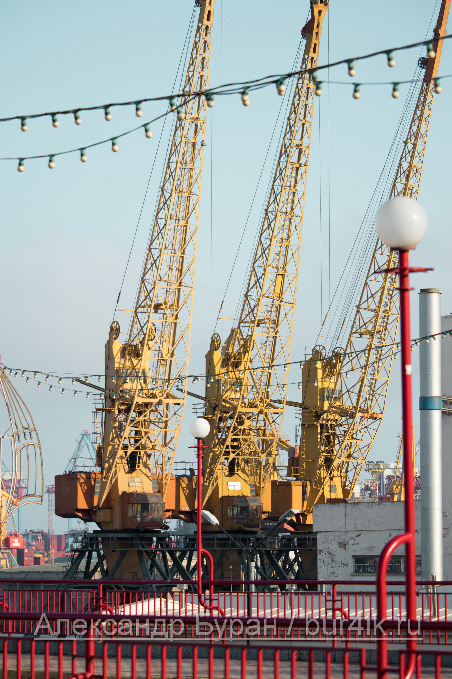 Краны на разгрузке в порту - Украина, Одесса, 17,10,2019-468