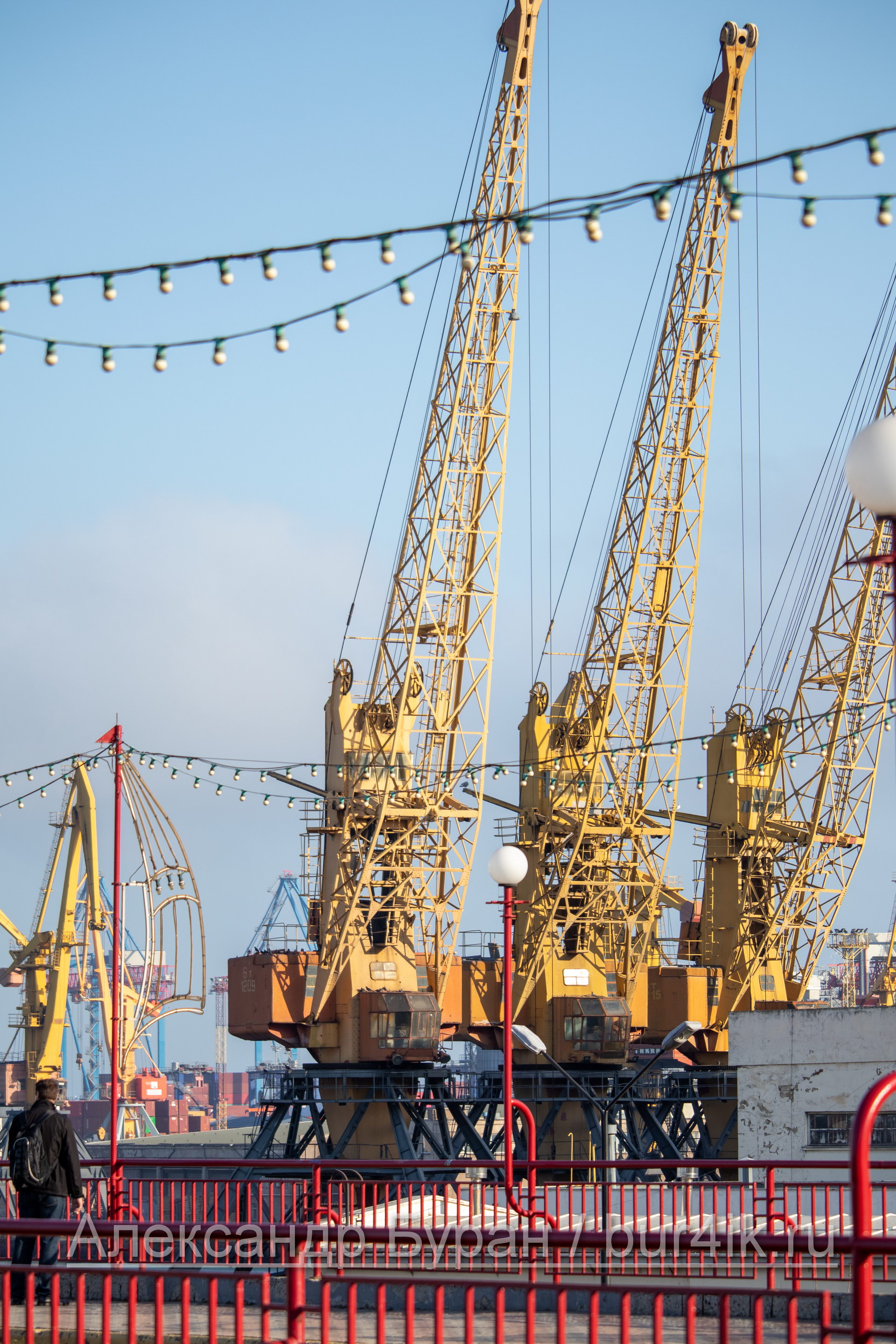Желтые краны в порту для погрузки и разгрузки - Украина, Одесса, 09,11,2019