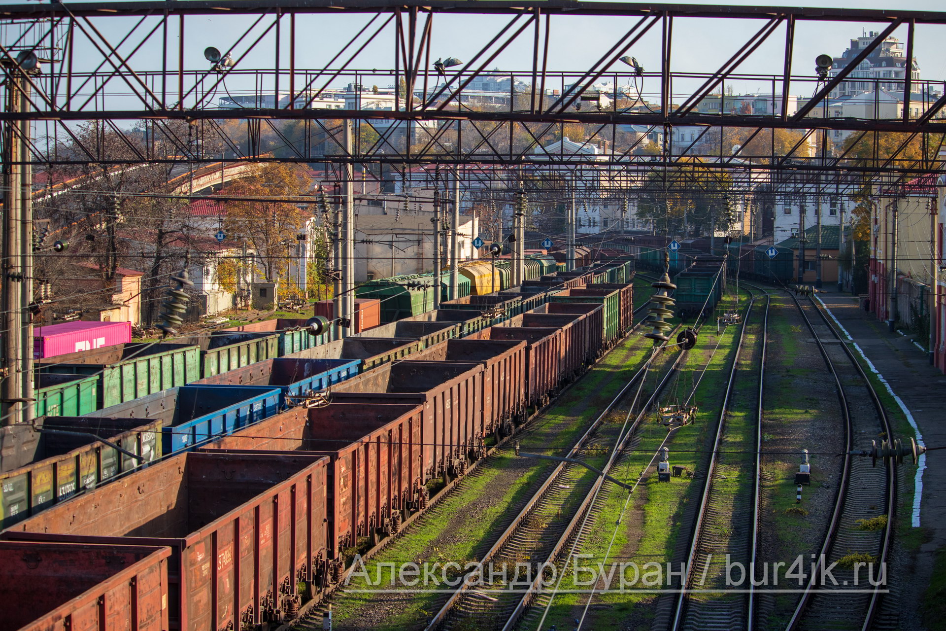 Грузовые железнодорожные вагоны и зеленая трава осенью в порт - Украина, Одесса, 17,10,2019