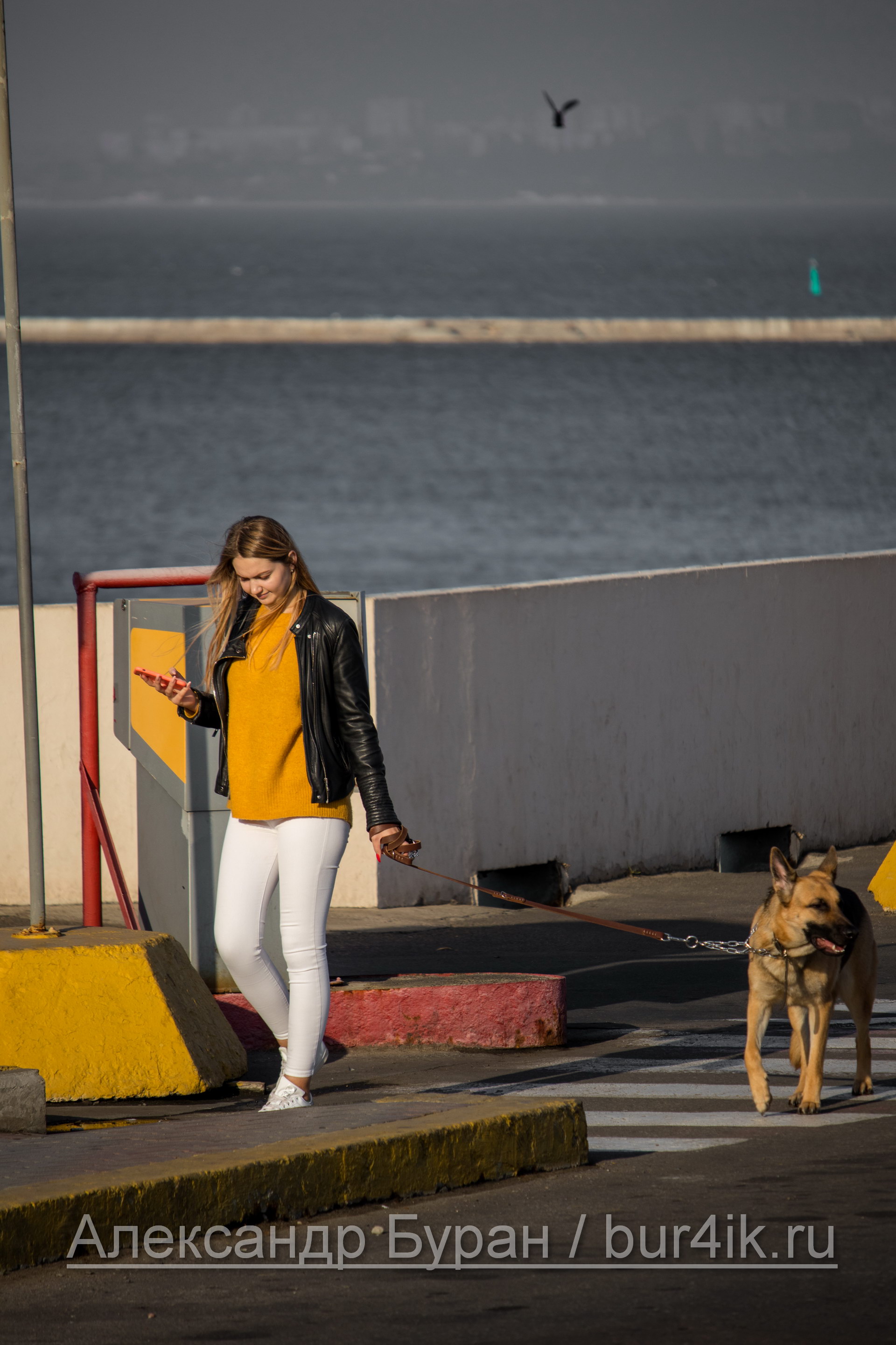 Девушка выгуливает свою собаку на причал для судов в морском порту - Украина, Одесса, 09,11,2019
