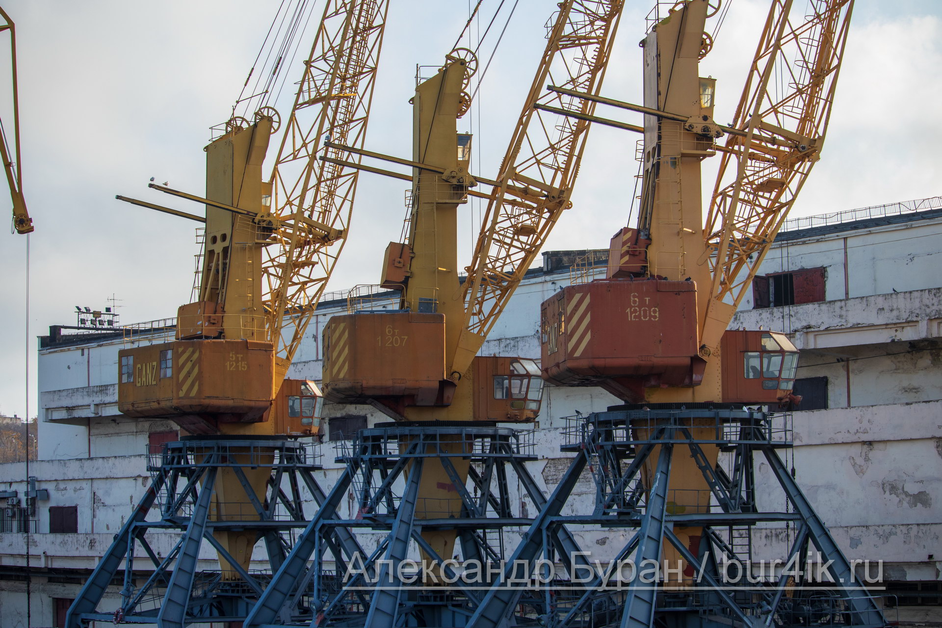Три желтых грузоподъемных кранов в порт для разгрузки кораблей - Украина, Одесса, 09,11,2019