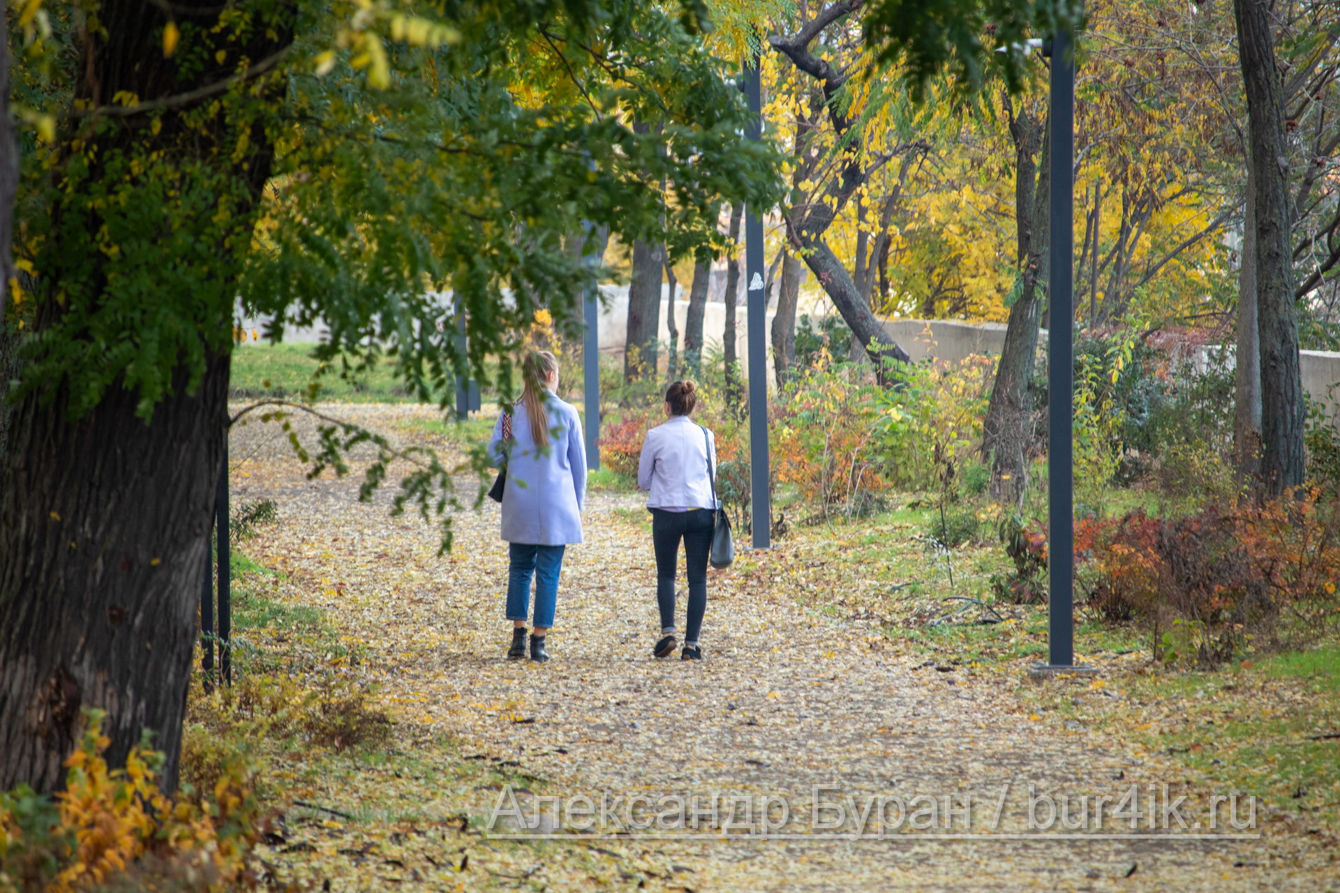 Идут две девушки по пути в город среди опавших листьев - Украина, Одесса, 09,11,2019