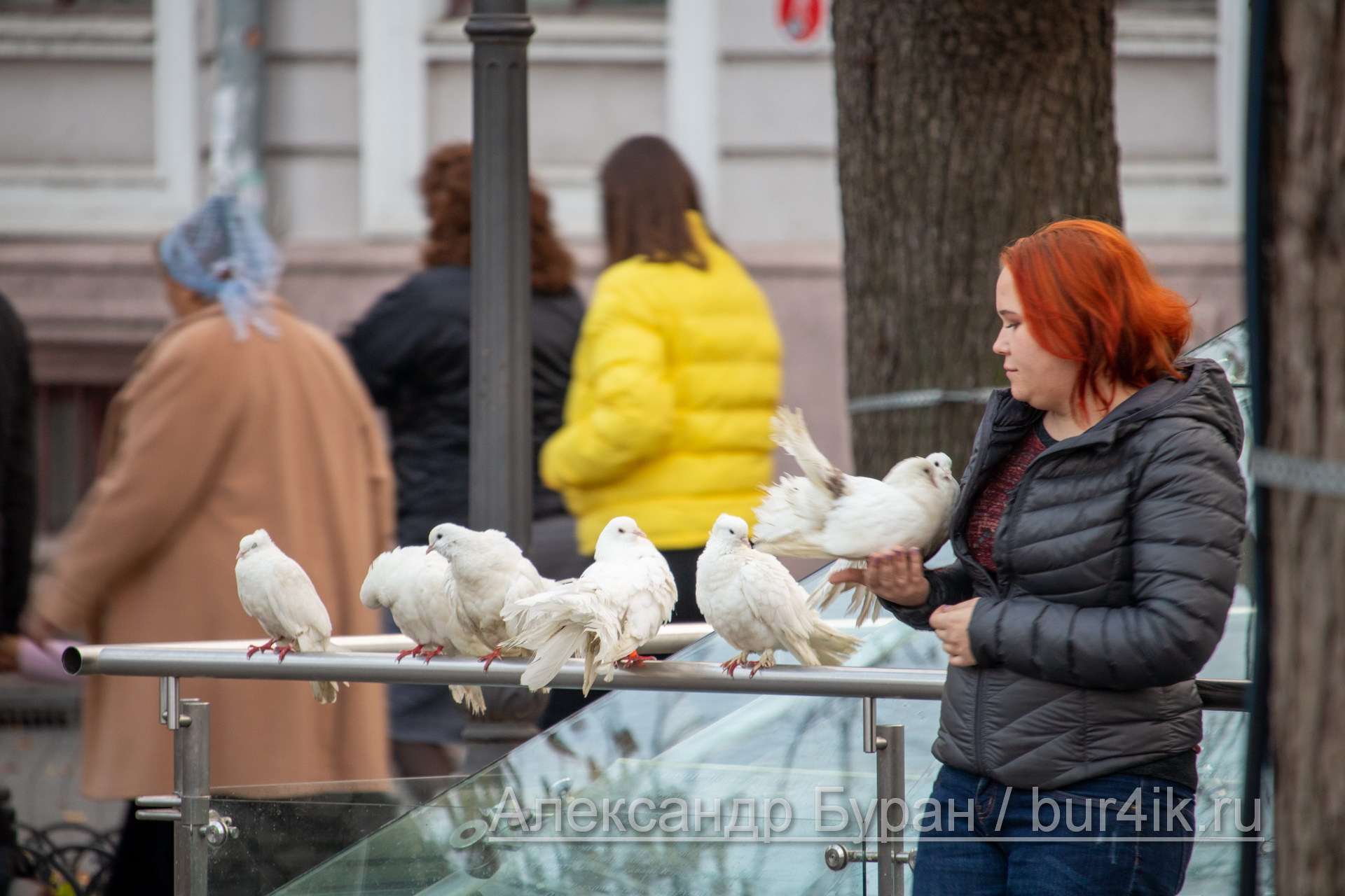 Рыжеволосая женщина предлагает взять оплачиваемый фото с белыми голубями в город - Украина, Одесса, 09,11,2019