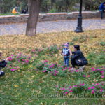Родители фотографируют маленький мальчик в парке осенью - Украина, Одесса, 09,11,2019