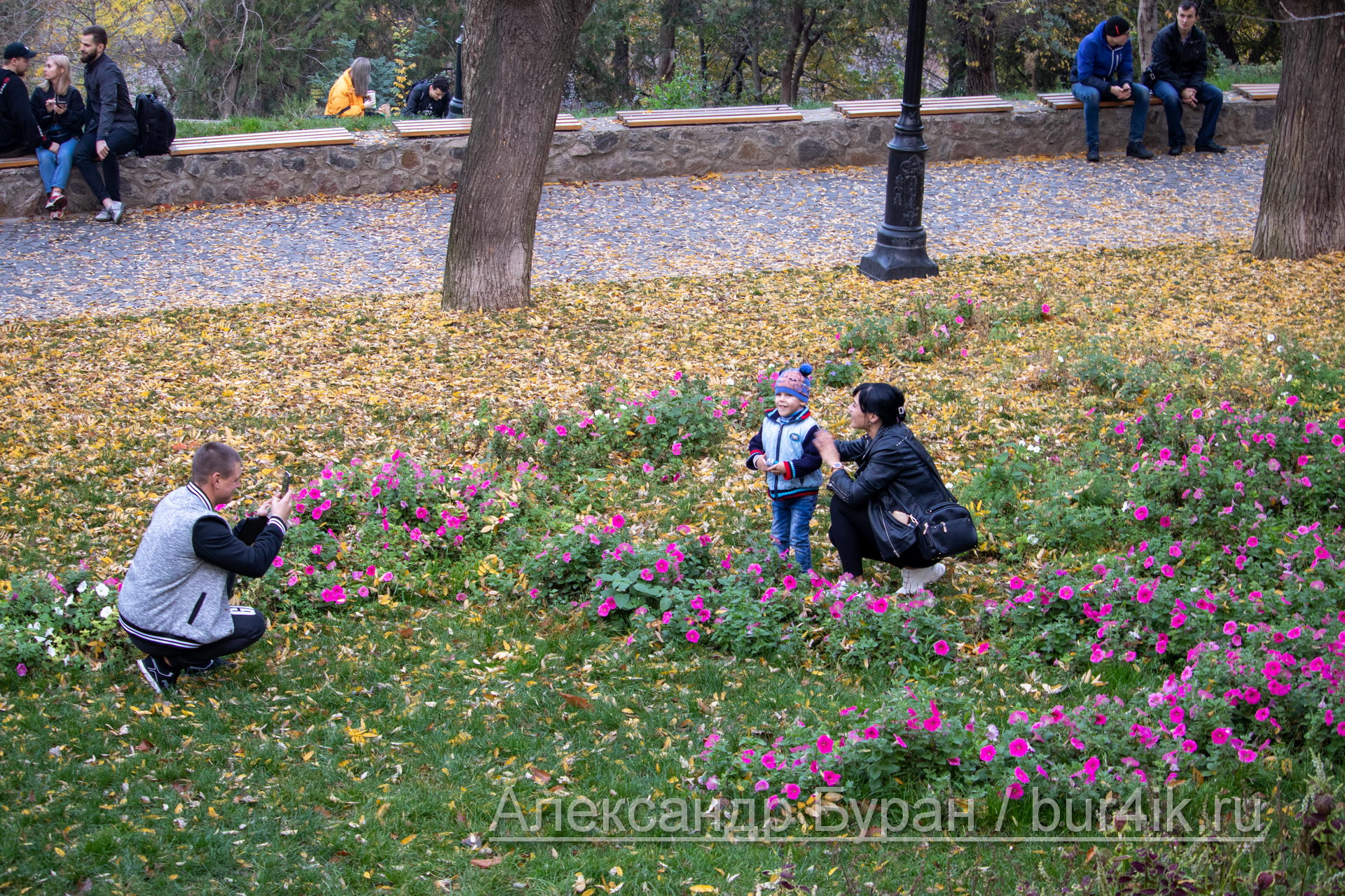 Родители фотографируют маленький мальчик в парке осенью - Украина, Одесса, 09,11,2019