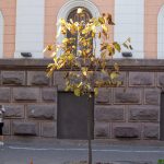Архитектура и фасад здания в центре Одессы – bur4ik.ru – 21.01.2020 - фото 50