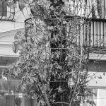 Защитная сетка на дереве – bur4ik.ru – 21.01.2020 - фото 2