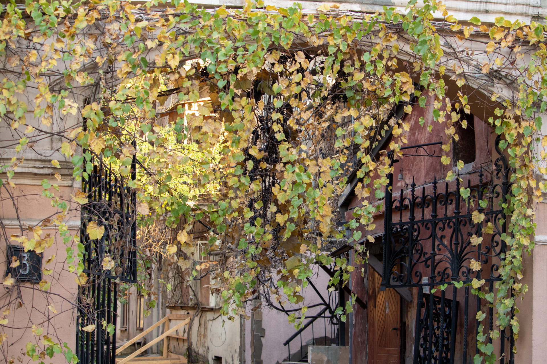 Металлические черные ворота и листва у входа в старый дворик о Одессе – bur4ik.ru – 21.01.2020 - фото 1