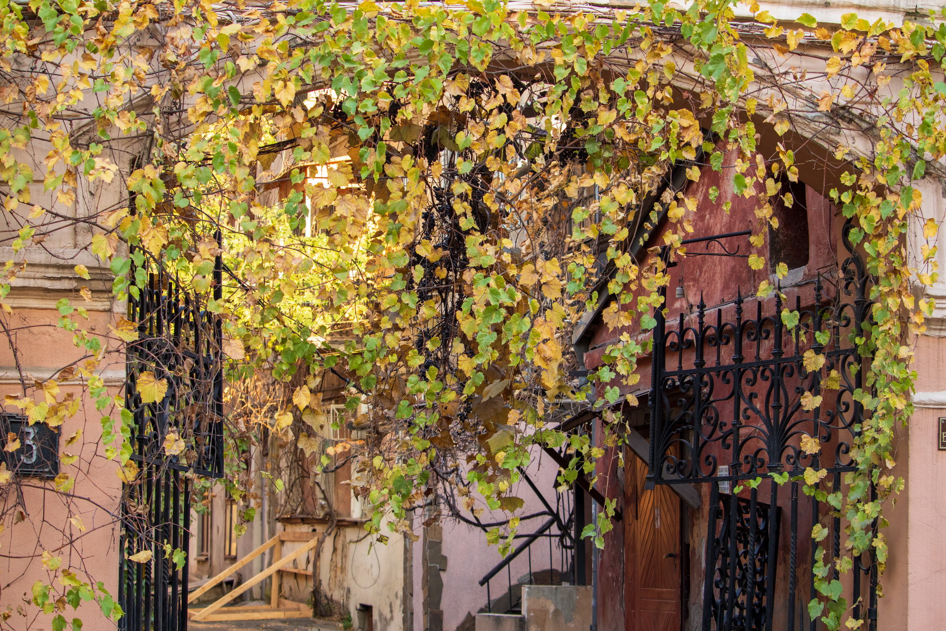 Металлические черные ворота и листва у входа в старый дворик о Одессе – bur4ik.ru – 21.01.2020 - фото 2