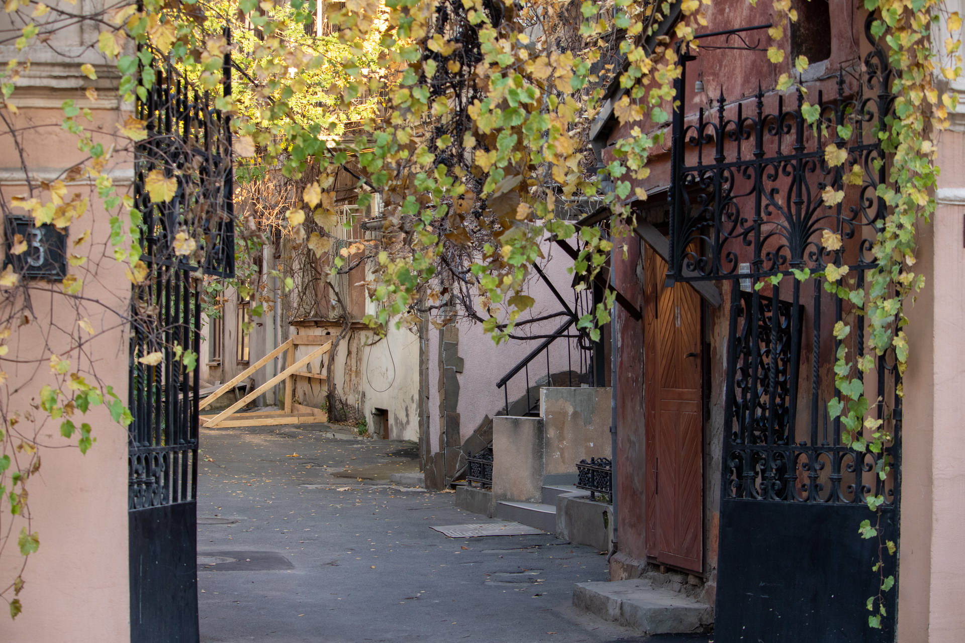 Металлические черные ворота и листва у входа в старый дворик о Одессе – bur4ik.ru – 21.01.2020 - фото 3