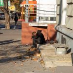 Нищий пьяный мужчина с тележкой спит на тротуаре в городе – bur4ik.ru фото 1