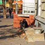 Нищий пьяный мужчина с тележкой спит на тротуаре в городе – bur4ik.ru фото 2