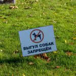 Табличка на траве с надписью выгул собак запрещен – bur4ik.ru фото 1