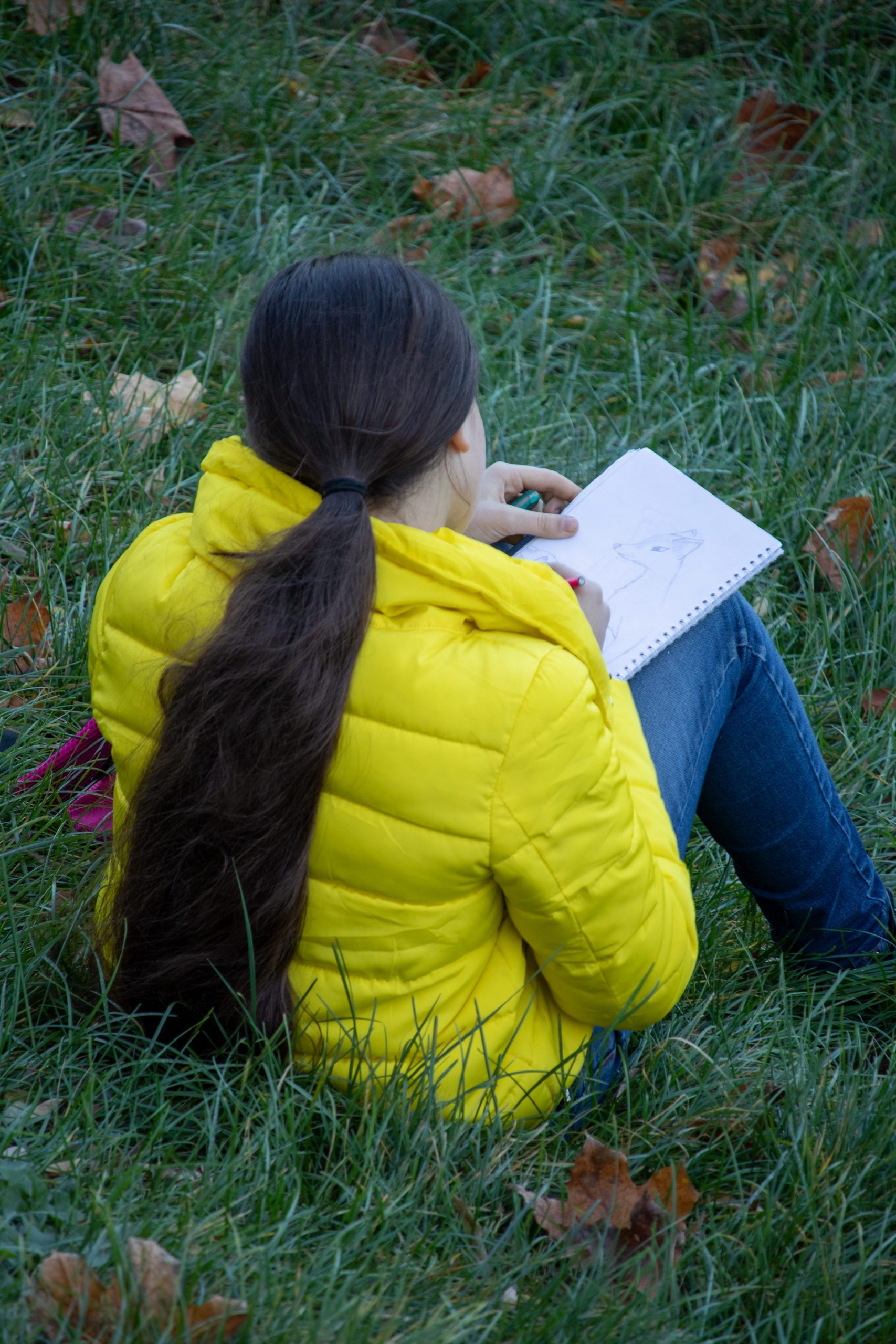 Юная художница что-то рисует сидя на траве в парке осенью – bur4ik.ru – 21.01.2020 - фото 1