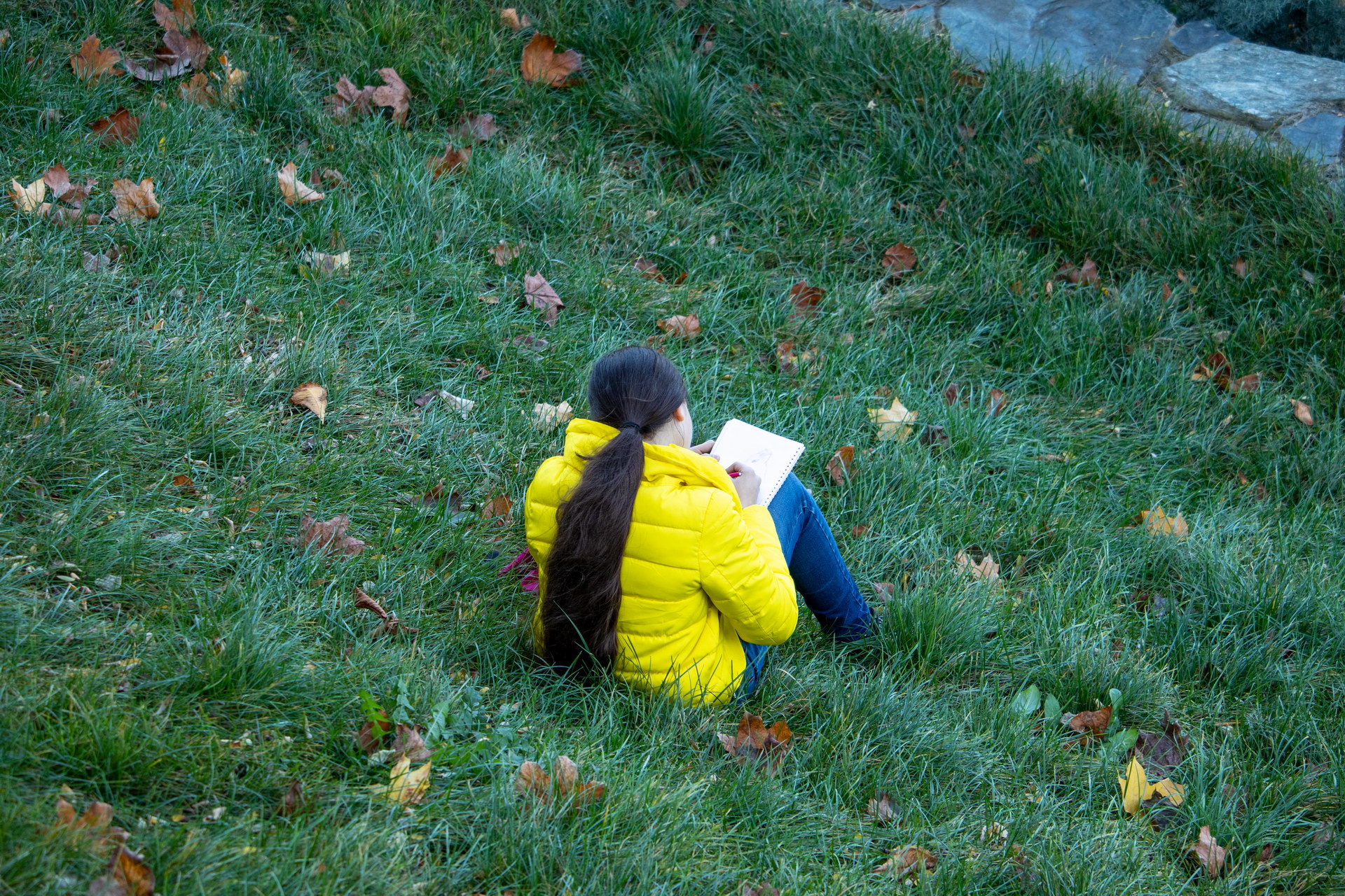 Юная художница что-то рисует сидя на траве в парке осенью – bur4ik.ru – 21.01.2020 - фото 6