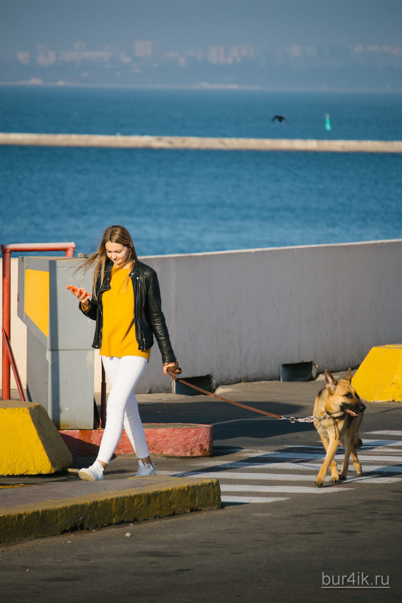 Девушка в черной куртке гуляет с овчаркой в порту у моря