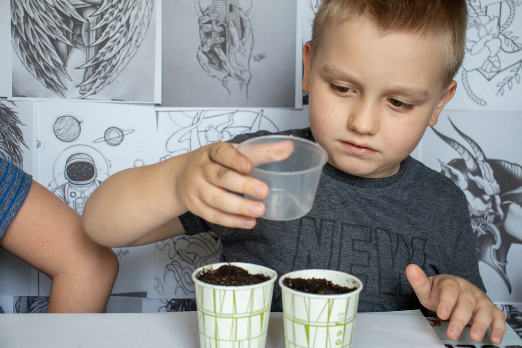 Boy watering plants planted in a cup
