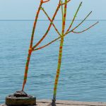 Dry trunks of young trees painted in bright colors - Ukraine, Odessa, 11,06,2020