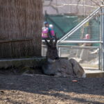 Одесский зоопарк во время войны – 26 марта 2022 года, Украина, Одесса bur4ik.ru - 079
