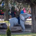 Одесский зоопарк во время войны – 26 марта 2022 года, Украина, Одесса bur4ik.ru - 084