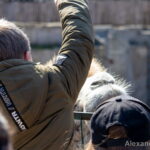 Одесский зоопарк во время войны – 26 марта 2022 года, Украина, Одесса bur4ik.ru - 125